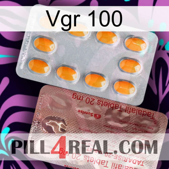 Vgr 100 new13
